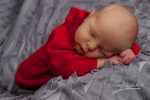 cameron newborn-3661