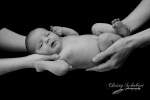 Hoeft newborn shoot-5313